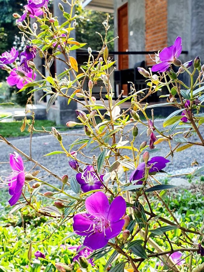 B-Tel Chomthong Resort Chiang Mai Chom Thong Εξωτερικό φωτογραφία