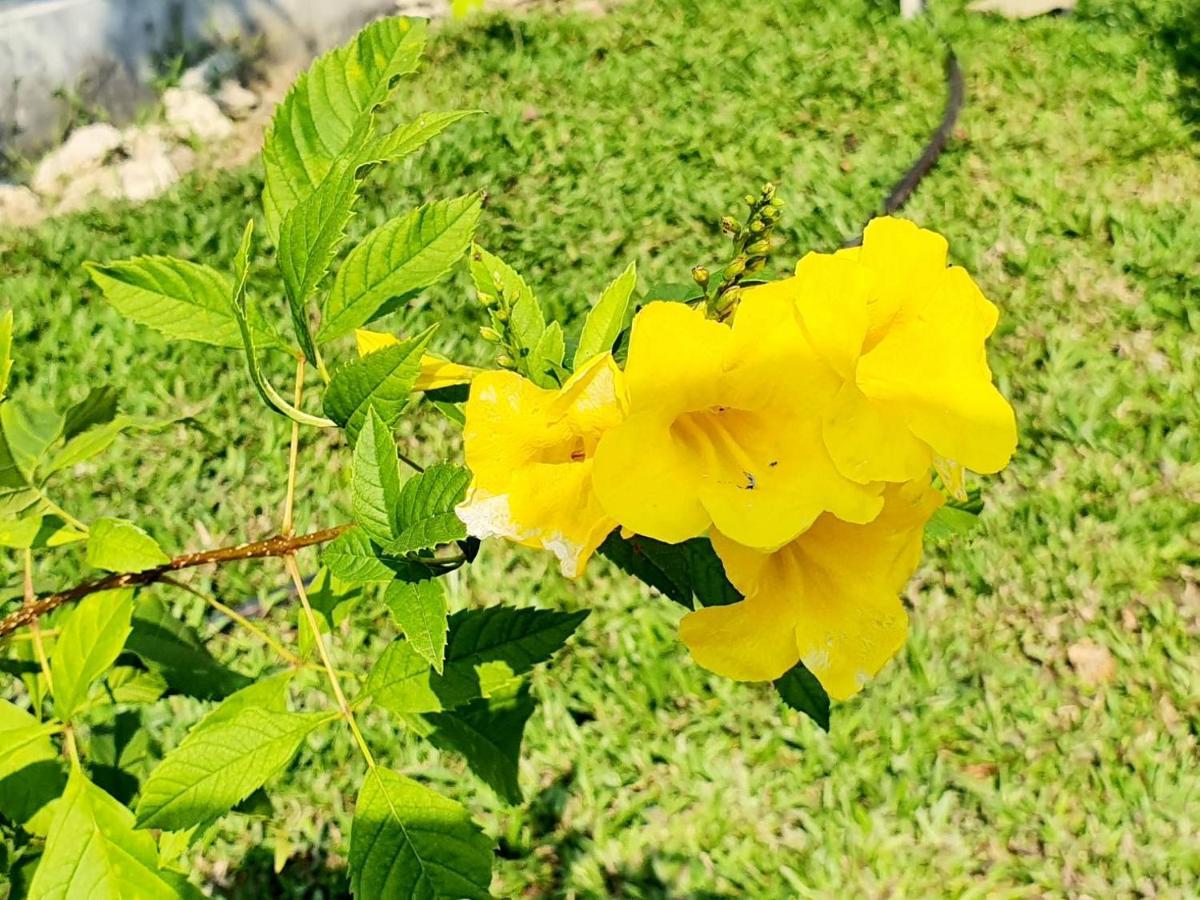 B-Tel Chomthong Resort Chiang Mai Chom Thong Εξωτερικό φωτογραφία